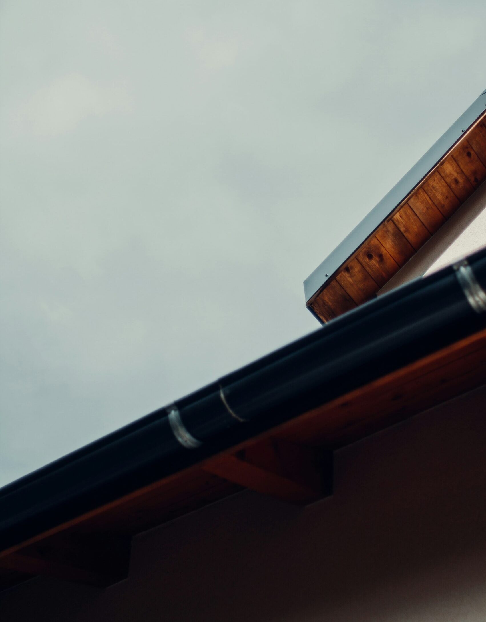 teo-sticea-MEthd3SyiEI-unsplash